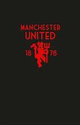 Image result for Manchester Icons