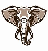 Image result for Baby Elephant Tusks