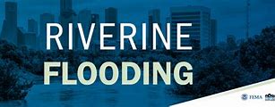 Image result for Riverine Flood