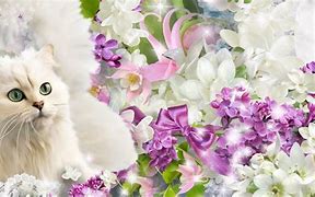 Image result for 3 Spring Cat Wallpaper