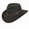 Image result for Indiana Jones Hat Logo