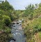 Image result for Faerie Glen Nature Reserve