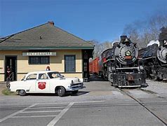 Image result for Tennessee Valley Railroad Museum Picnic