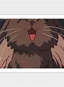 Image result for Tenchi Muyo Characters Cabbit