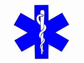 Image result for Paramedic Symbol