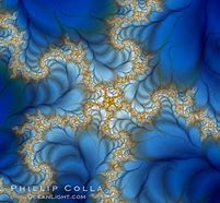 Image result for Fractal Real Life