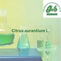 Image result for Citrus Aurantium L