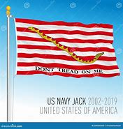 Image result for US Navy Snake Flag