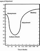 Image result for Adjustment Curve