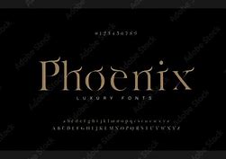 Image result for Initial N Fonts Elegant Luxury