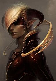 Image result for Medieval Male Elf