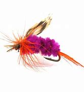 Image result for Fly Fishing Tackle