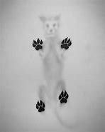 Image result for Cute Shadow Drawings