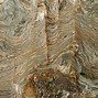 Image result for Hard Rock Strata