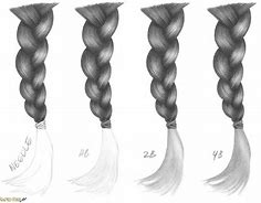 Image result for How to Draw Hair Braids