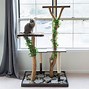 Image result for DIY Cat Furniture