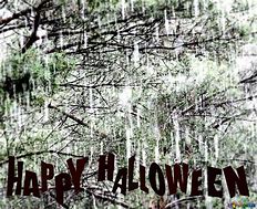 Image result for Halloween Rain