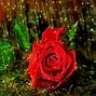 Image result for Rain Scenery Wallpaper