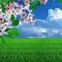 Image result for May Your Day Be Sunny and Bright