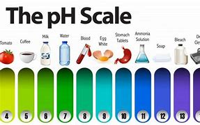 Image result for Mild pH Dish Soap