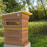 Image result for Long Bee Hive Plans