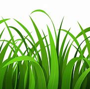 Image result for Free Beach Grass Clip Art