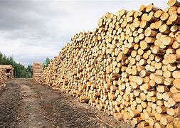 Image result for Log Pile Lumber Mill