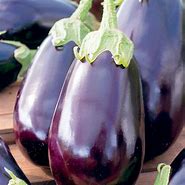 Image result for Black Eggplant