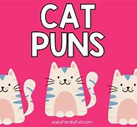 Image result for Cat Puns Family