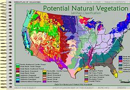 Image result for United States Vegetation Map