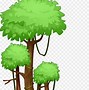 Image result for Jungle Trees