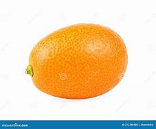 Image result for Kumquat Fruit White Background