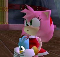 Image result for Amy Rose Sonic Adventure Meme