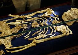 Image result for Oldest Human Skeleton Found