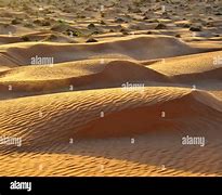 Image result for Tunisia Desert Tourism