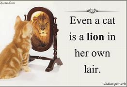 Image result for Cat as Lion Meme