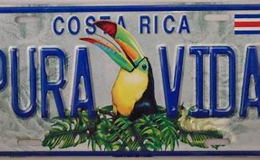 Image result for Pura Vida Costa Rica Signs