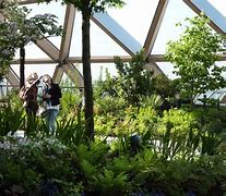 Image result for Crossrail Place Roof Garden Background