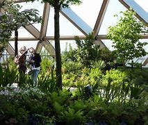 Image result for Crossrail Place Roof Garden