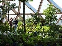 Image result for Rooftop Garden Crossrail Place