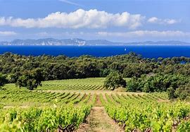 Image result for Cotes De Provence France