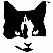 Image result for White Cat Head