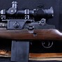 Image result for Springfield M21