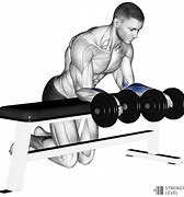 Image result for Forearm Curls