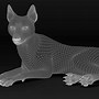 Image result for Black Fur Wolf Dog