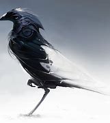 Image result for Dnd Bird Fan Art