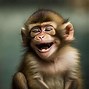 Image result for Funny Monkey Images. Free