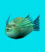 Image result for Blowfish On Window