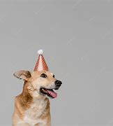 Image result for Party Dog Smiley