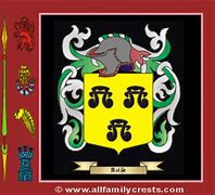 Image result for Rolfe Family Crest